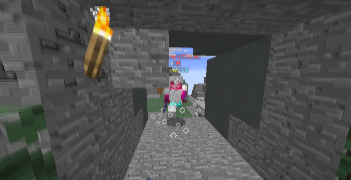 Minecraft people fighting